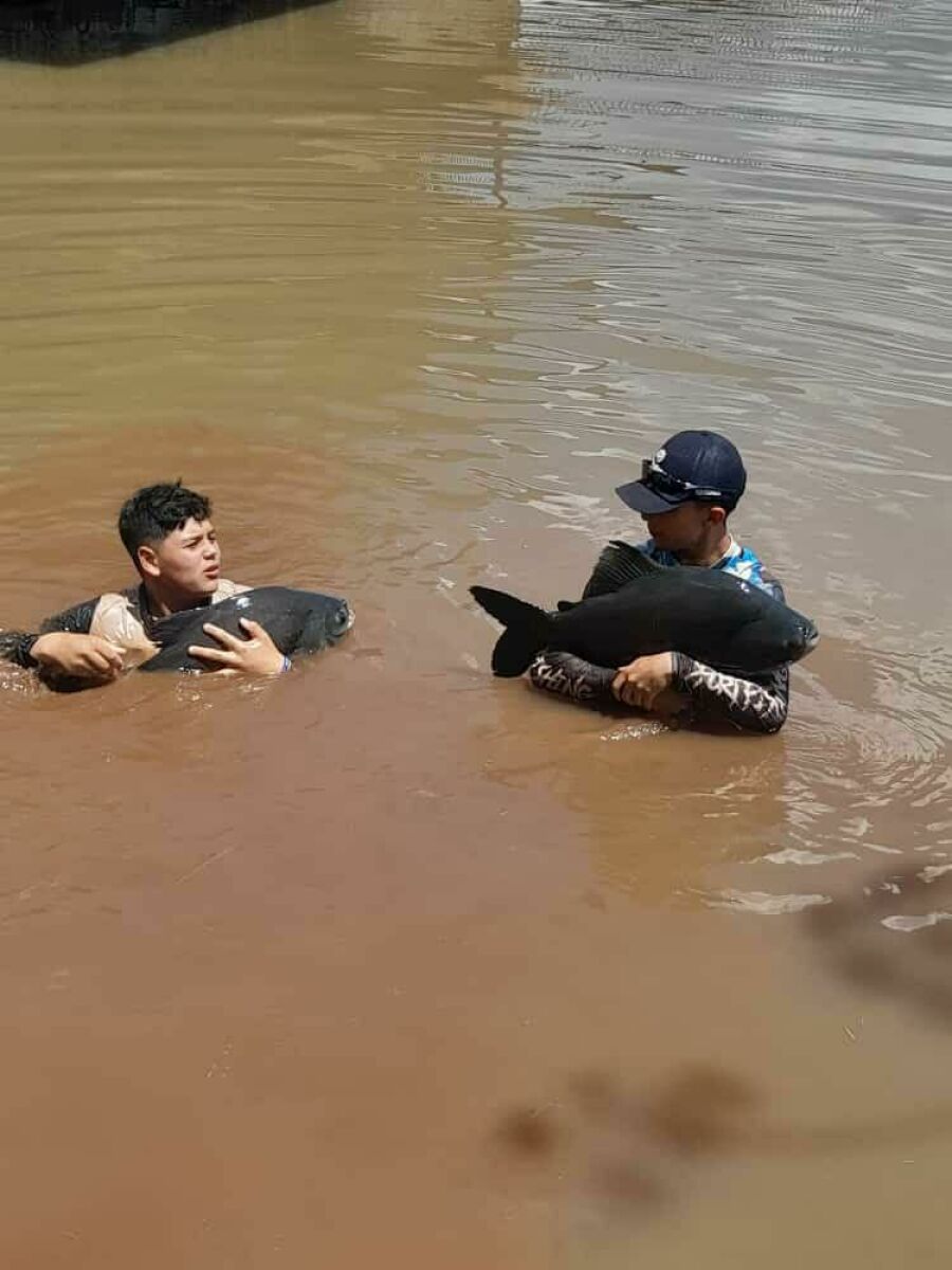 Imagem 0205 pesca 8
